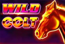 Wild Colt slot